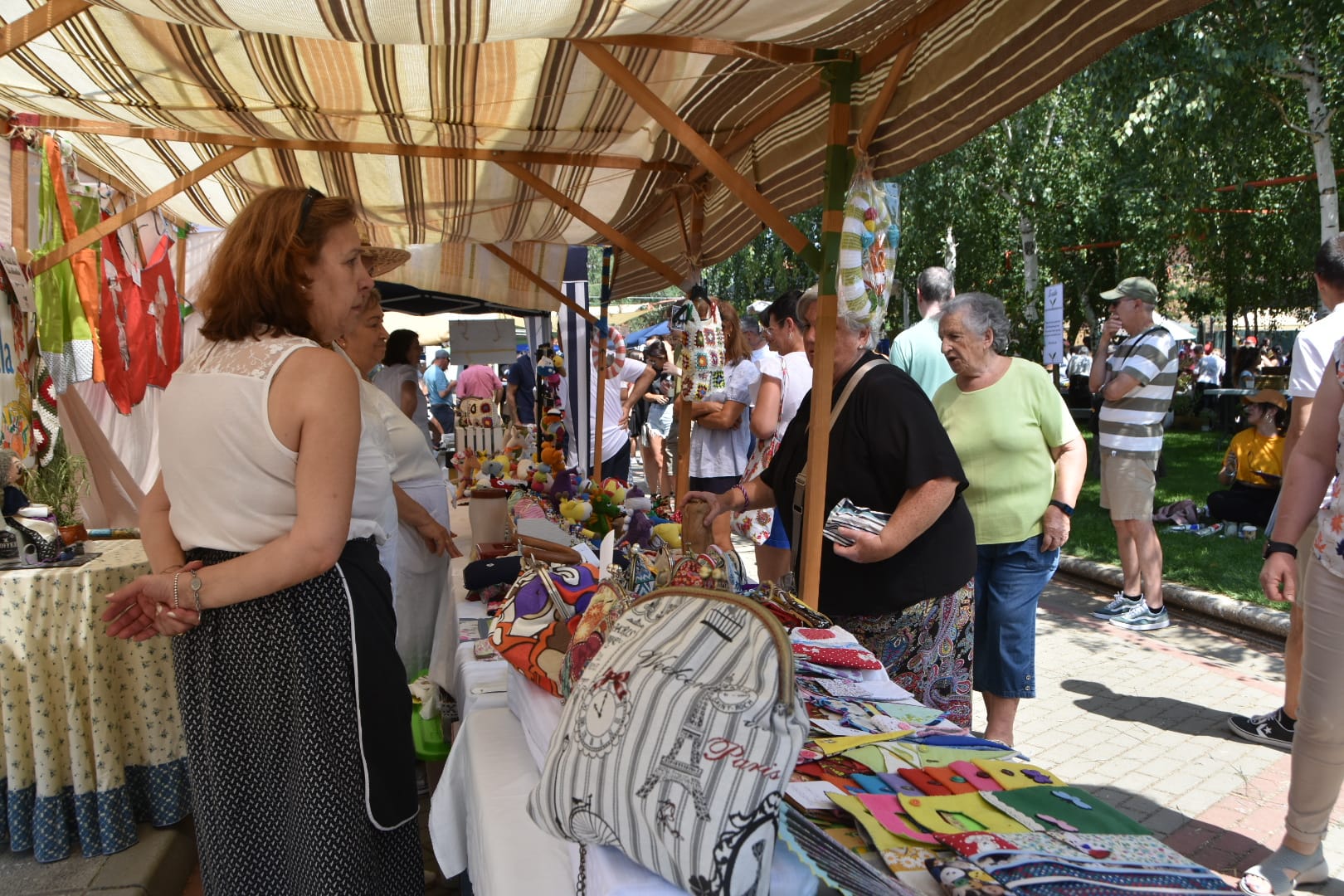 Miranda de Azán celebra su mercado más verde y creativo