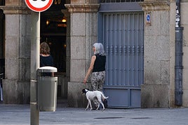Una señora pasea a su perro por la Gran Vía de Salamanca.