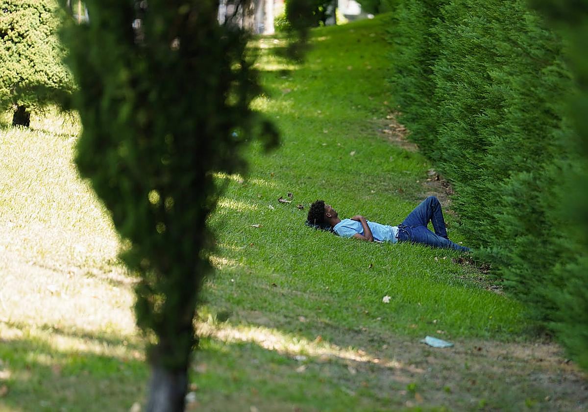 Una persona se echa la siesta en una sombra.