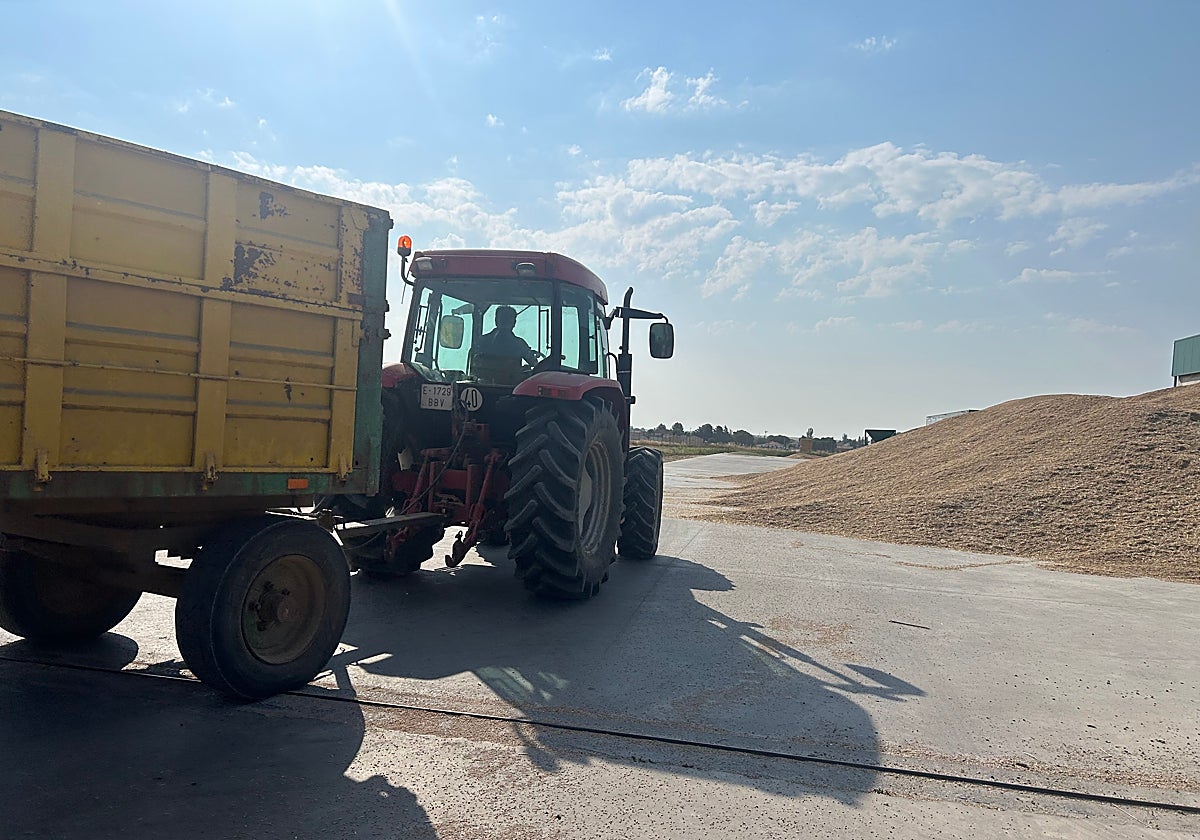 Un agricultor va con su tractor y remolque a descargar el trigo.