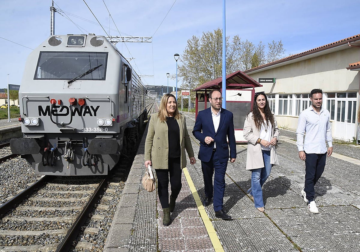 Ana Castaño, Marcos Iglesias, Paola Martín y Víctor Gómez, en la presentación de una moción anterior sobre este asunto.