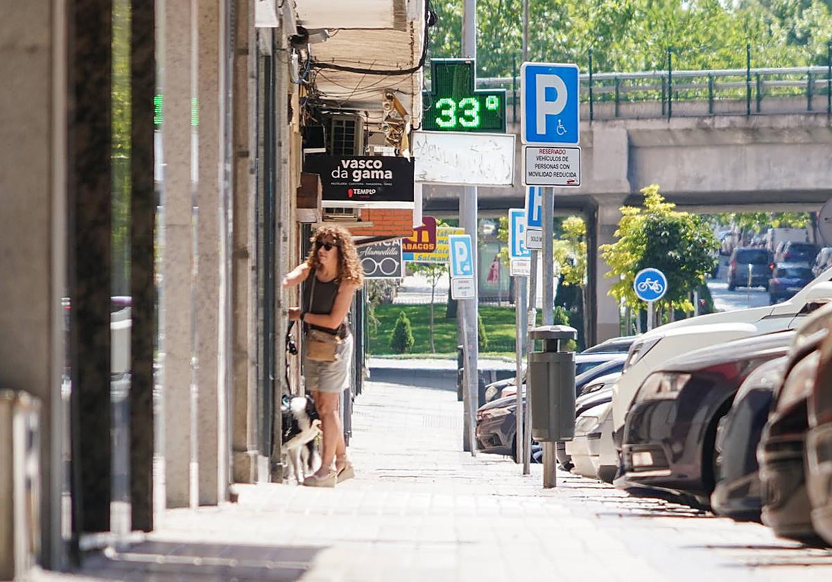 Una mujer pasea a su perro por Salamanca.