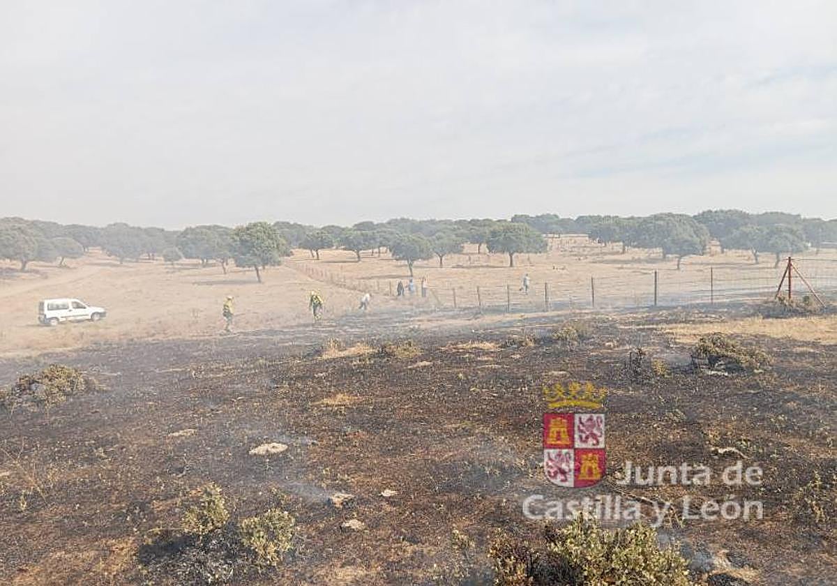 Imagen del incendio.