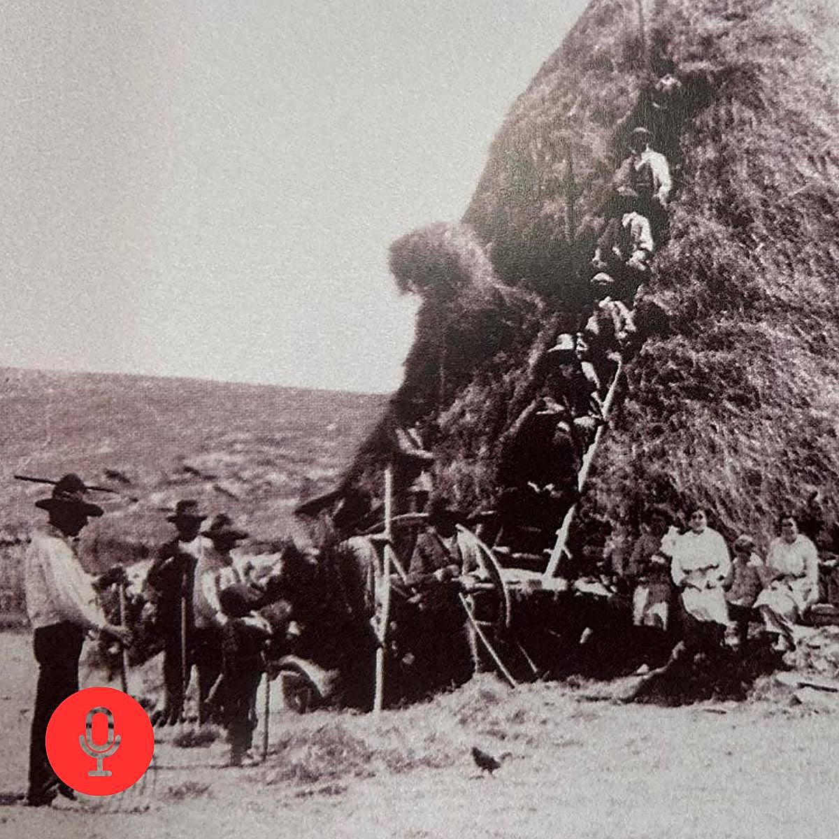 De las ocupaciones de fincas en Salamanca a los huertos familiares