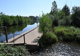 Estado actual de la zona de la Moretona.