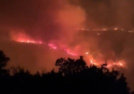 El incendio forestal en Portugal.