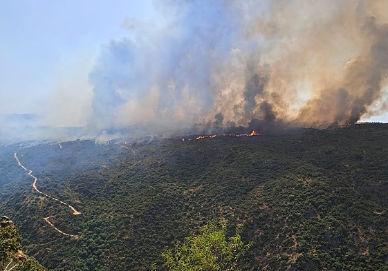 Imagen del incendio en Mata de Lobos (Portugal), en la frontera con Sobradillo.