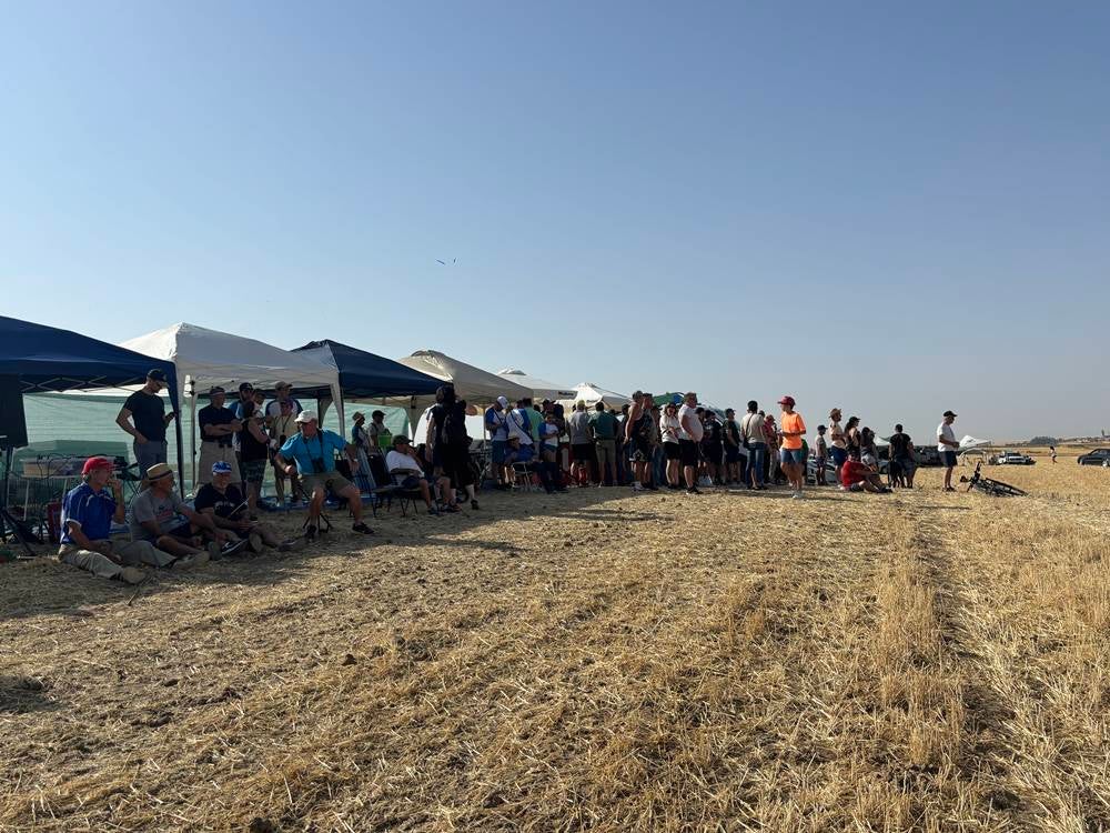 74 galgos de toda España se citan en la prueba de Cantaracillo