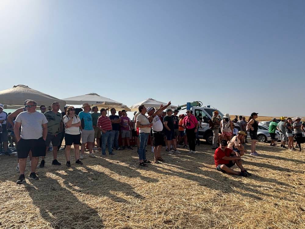 74 galgos de toda España se citan en la prueba de Cantaracillo