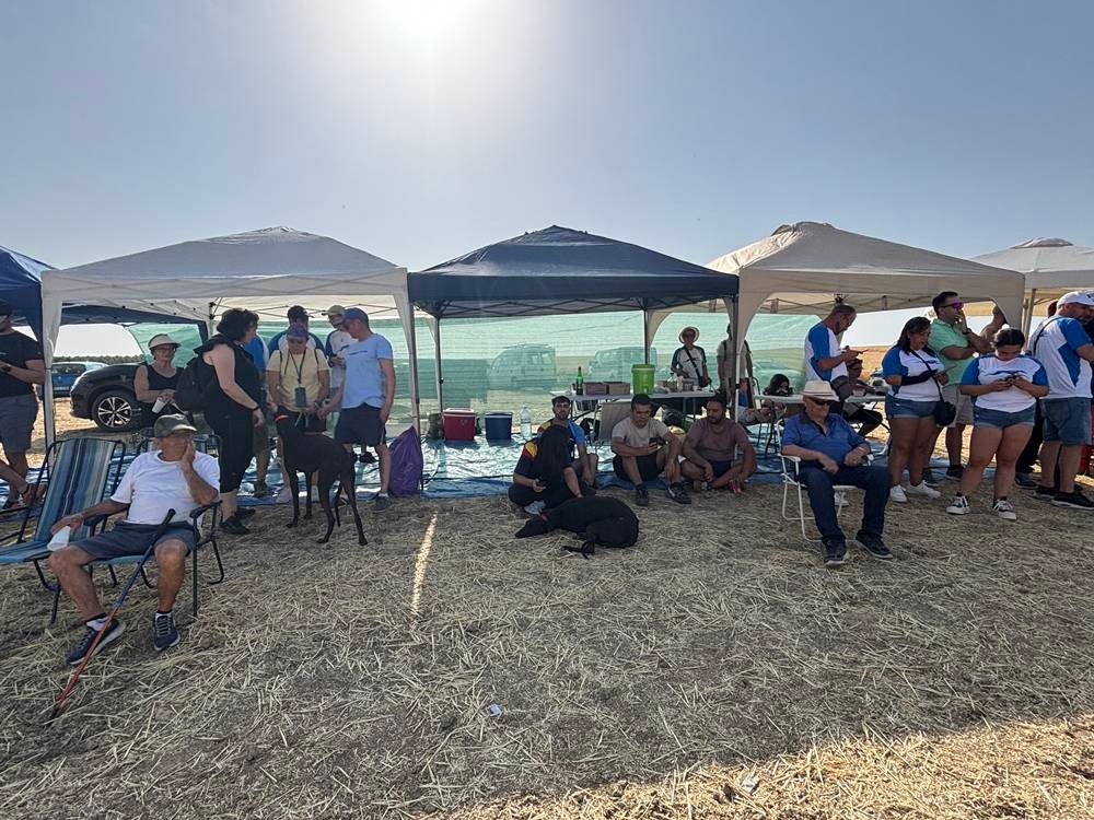 74 galgos de toda España se citan en la prueba de Cantaracillo