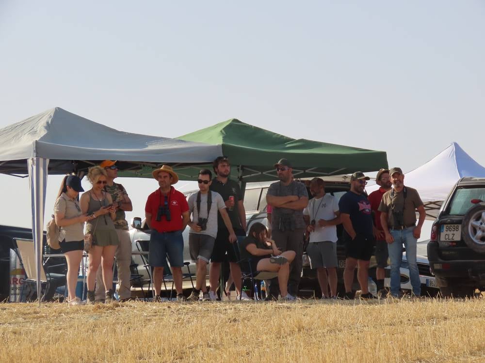 74 galgos de toda España se citan en la prueba de Cantaracillo