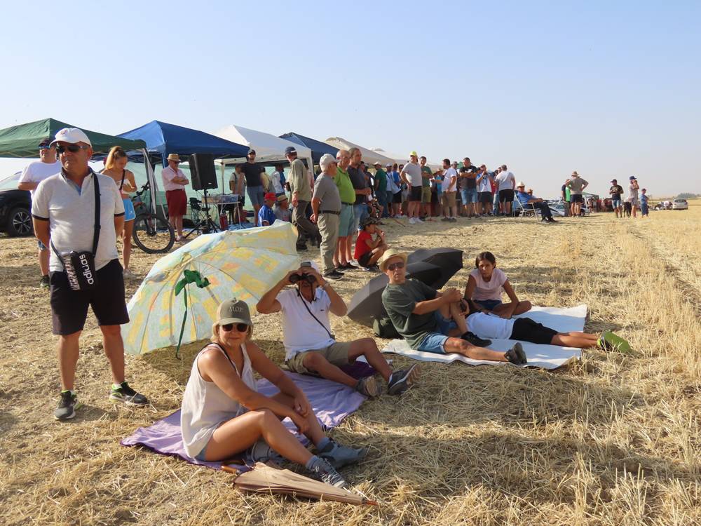 74 galgos de toda España se citan en la prueba de Cantaracillo