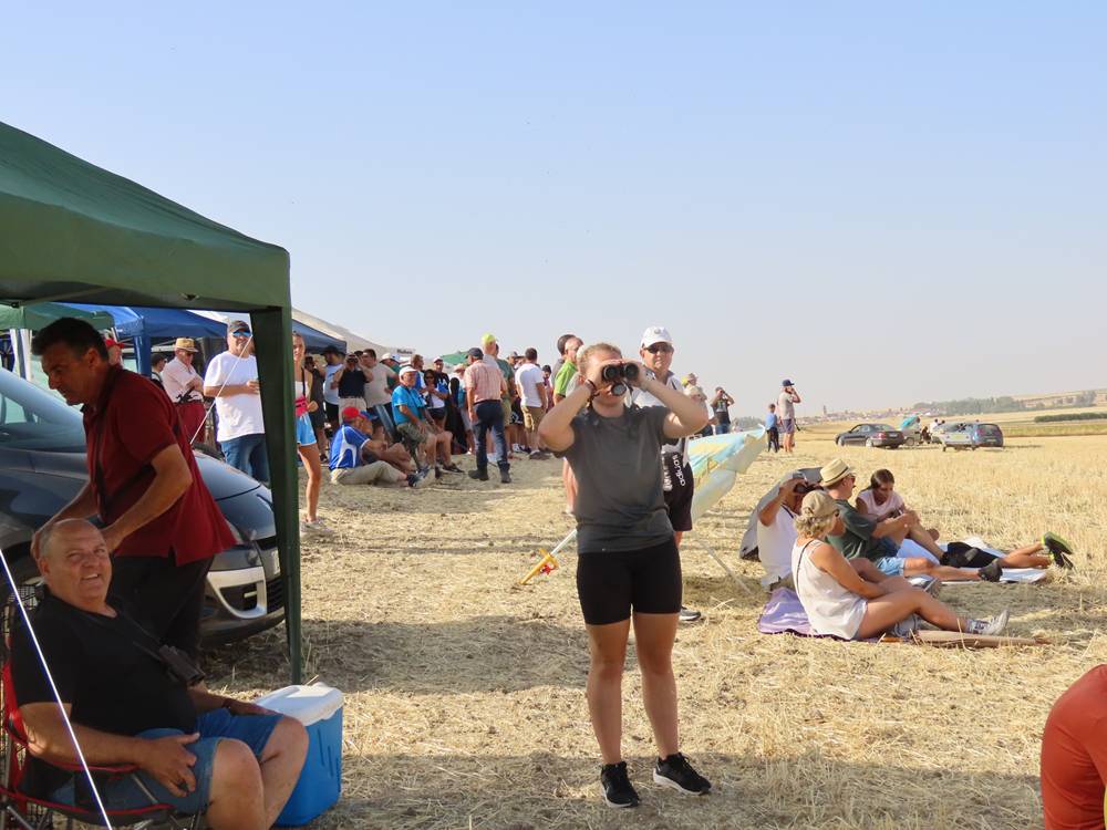 74 galgos de toda España se citan en la prueba de Cantaracillo