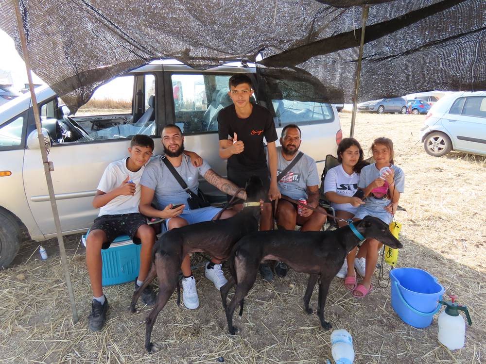 74 galgos de toda España se citan en la prueba de Cantaracillo