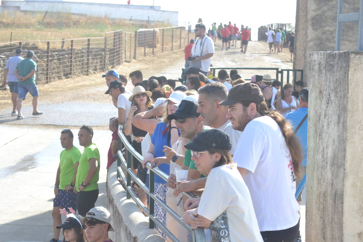 Divertido encierro en Saelices el Chico