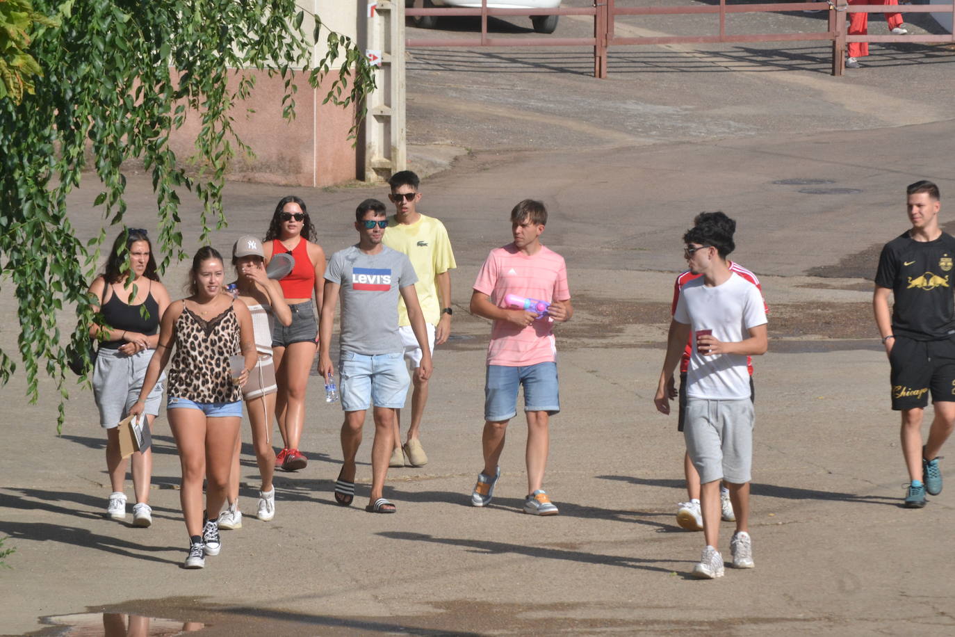 Divertido encierro en Saelices el Chico