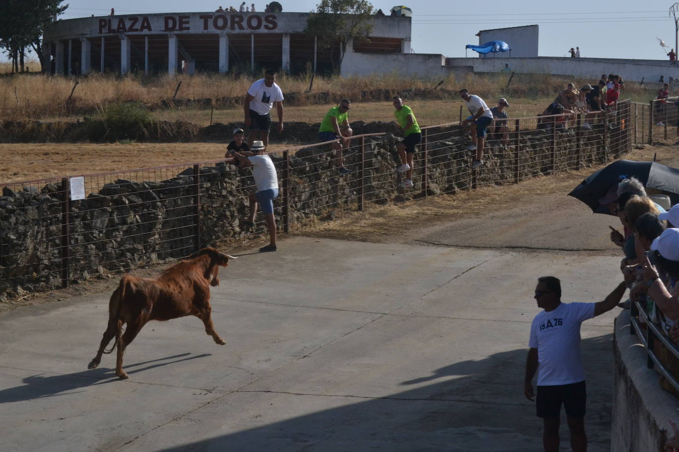 Divertido encierro en Saelices el Chico
