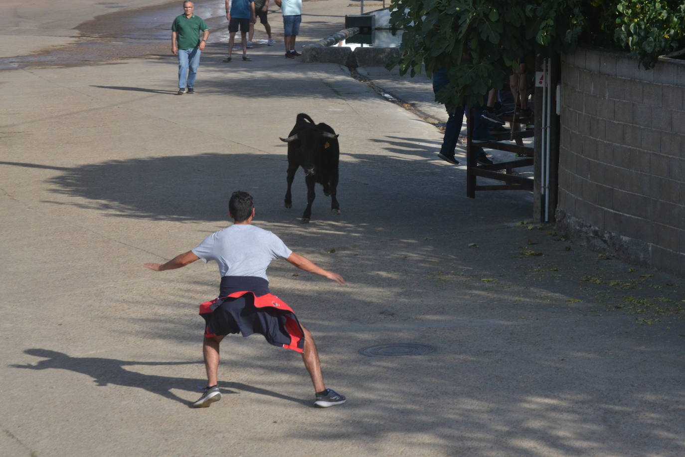 Divertido encierro en Saelices el Chico