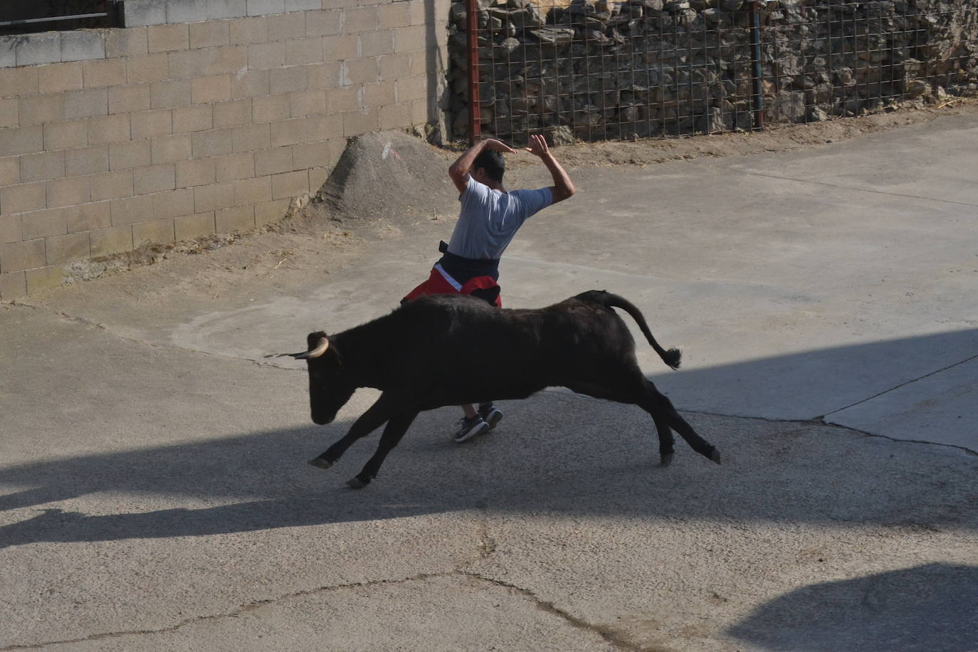 Divertido encierro en Saelices el Chico