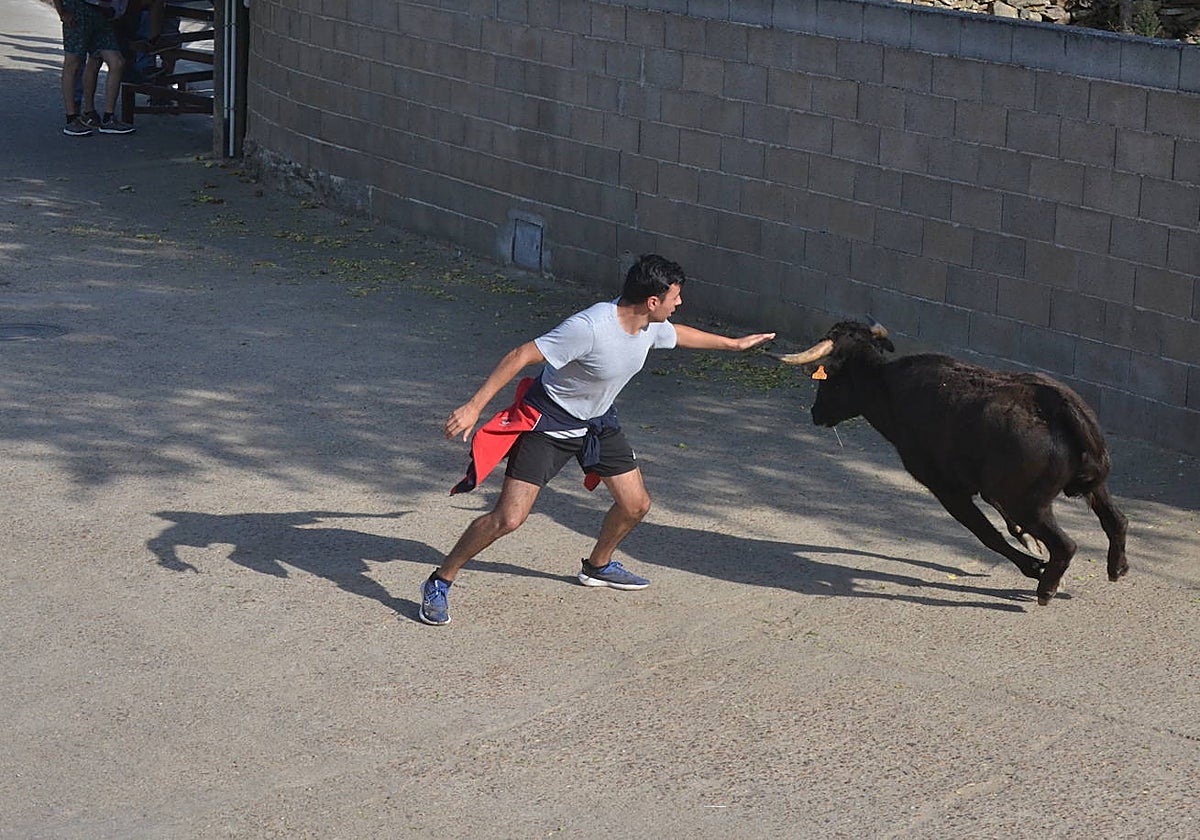 Divertido encierro en Saelices el Chico