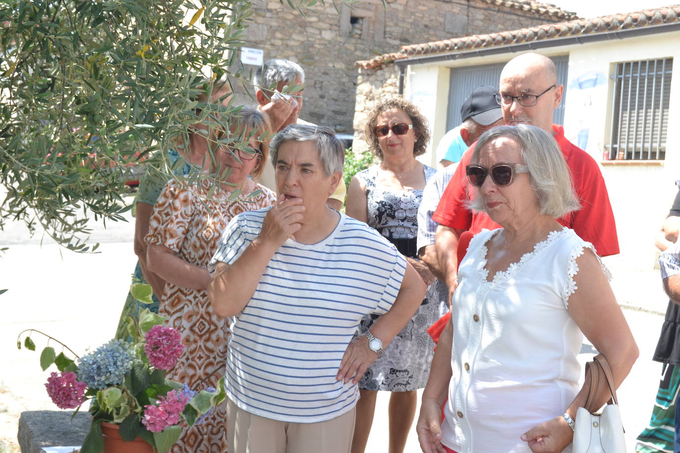 San Lorenzo preside el día grande de La Zarza de Pumareda