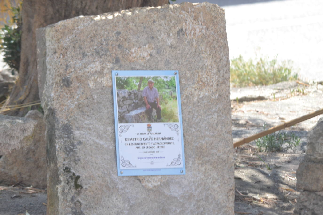 San Lorenzo preside el día grande de La Zarza de Pumareda