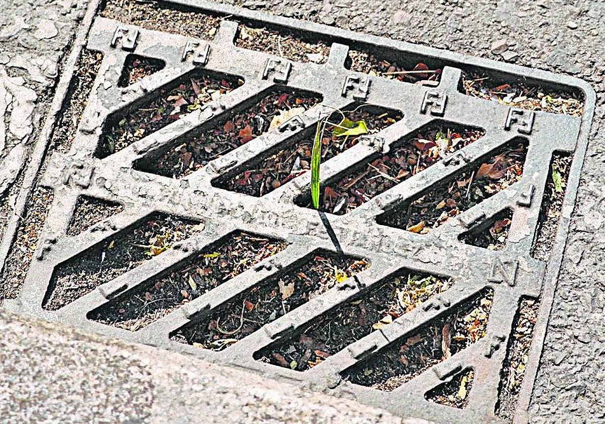 Minijardines en el alcantarillado