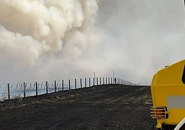 Imagen de la humareda provocada por el incendio que se ha declarado en La Sierpe.