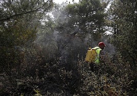 Imagen de parte de la superficie que ha quedado dañada con motivo del incendio en Molezuelas de la Carballeda.