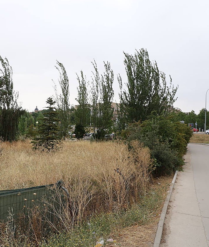 Imagen secundaria 2 - Preocupación en los barrios por solares abandonados y secos en plena temporada de incendios