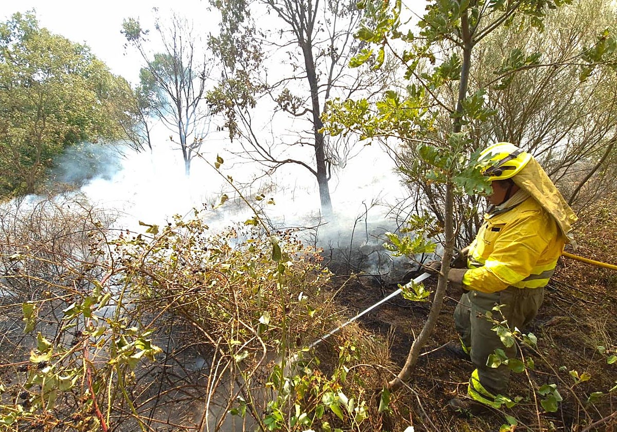 Así están siendo las labores de extinción del terrible incendio de La Alberca