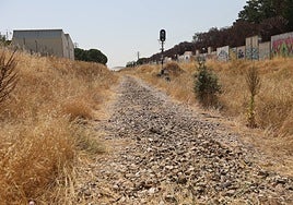 El antiguo trazado de la Ruta de la Plata, en la trasera de Würzburg, una vez retiradas traviesas y vías.
