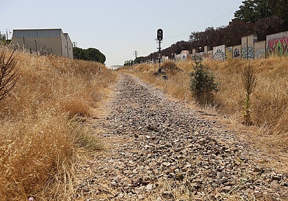 El antiguo trazado de la Ruta de la Plata, en la trasera de Würzburg, una vez retiradas traviesas y vías.