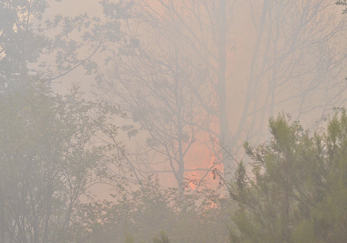 Las llamas en el monte en La Alberca.