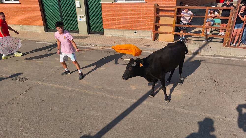 El festejo taurino vuelve a llenar de afición las calles de Cantalpino