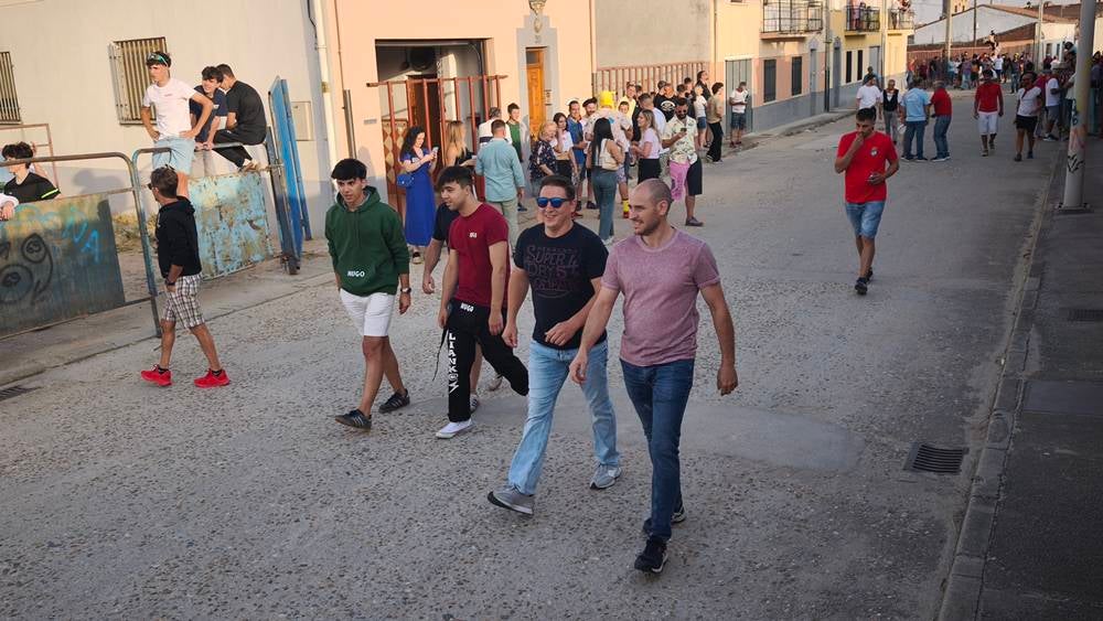 Primer encierro tradicional por las calles de Macotera