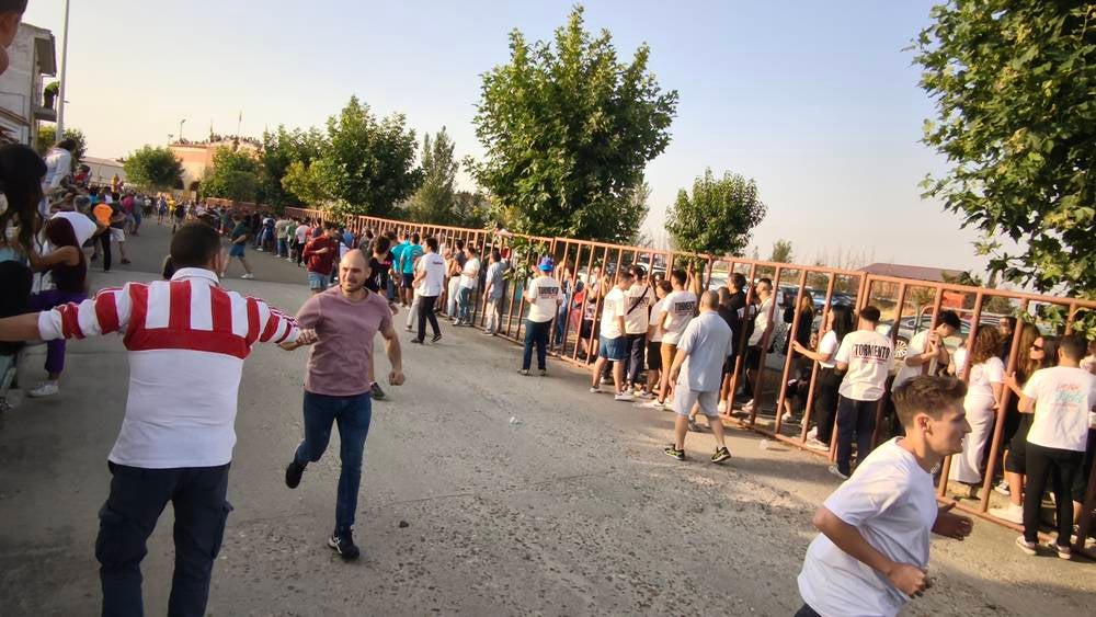 Primer encierro tradicional por las calles de Macotera