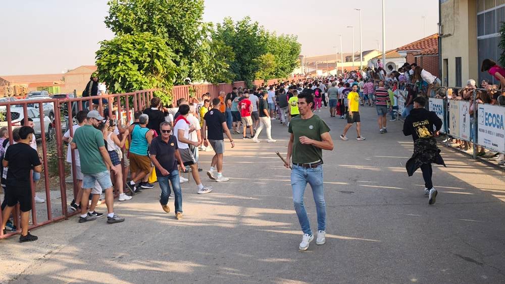 Primer encierro tradicional por las calles de Macotera