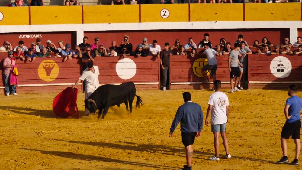 Primer encierro tradicional por las calles de Macotera