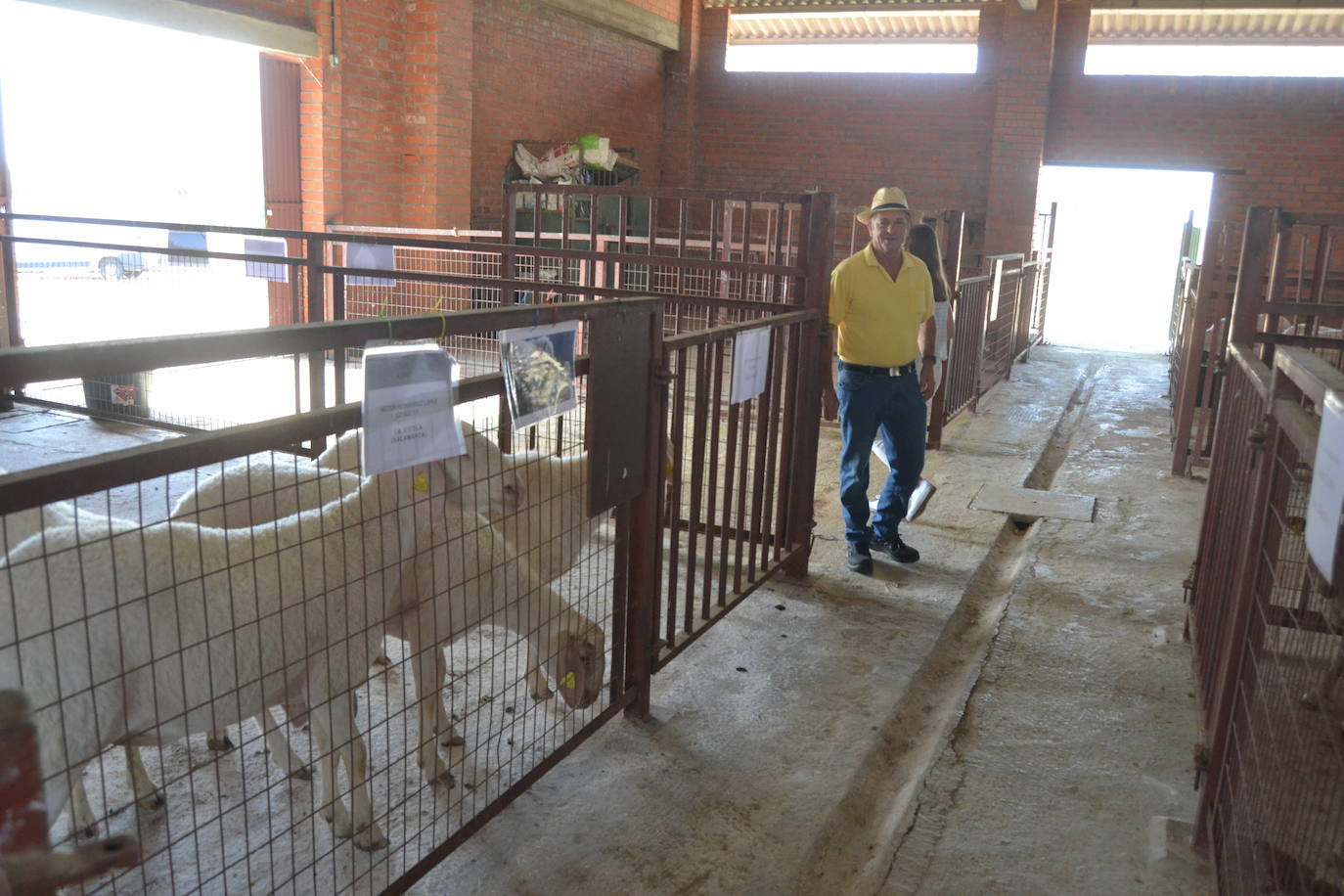 Regresa la tradición ganadera a Vitigudino