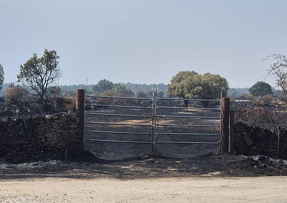 Imagen secundaria 1 - Imagen de varias zonas calcinadas por el fuego en la localidad.