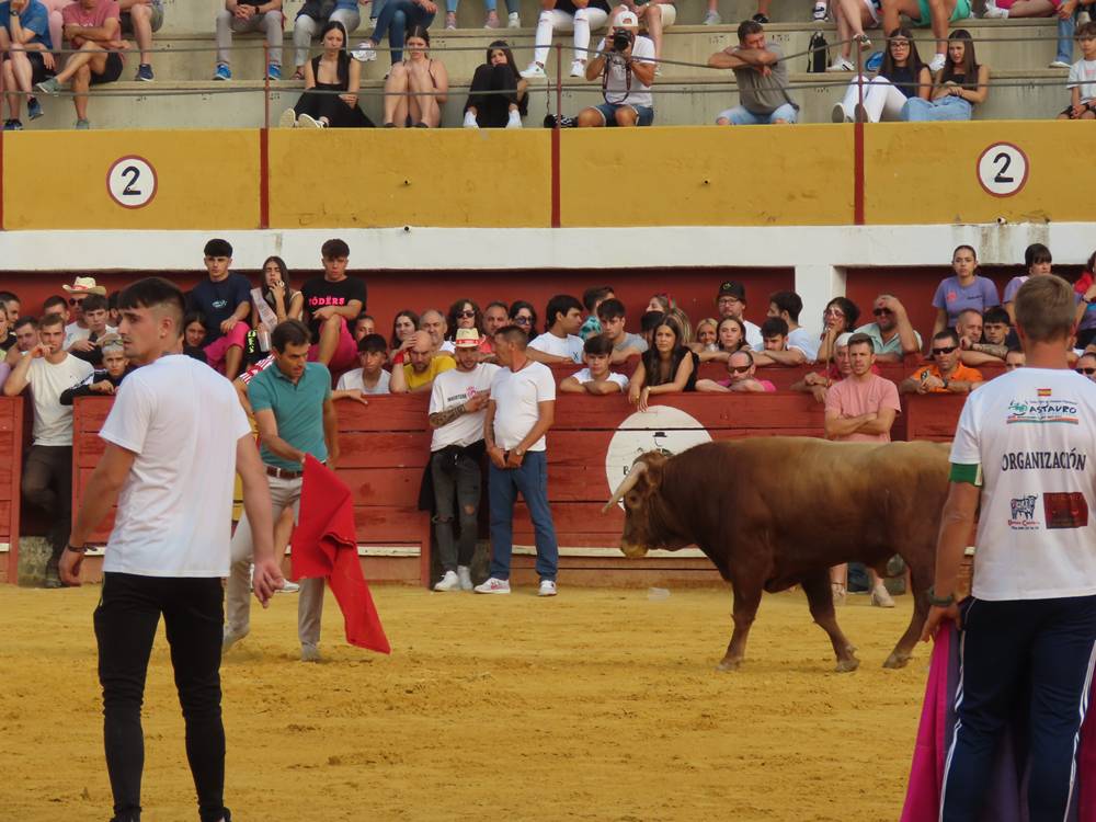 Multitudinario segundo encierro en Macotera