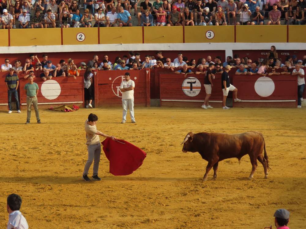 Multitudinario segundo encierro en Macotera