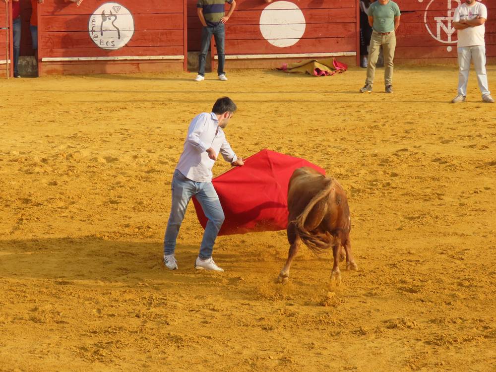 Multitudinario segundo encierro en Macotera