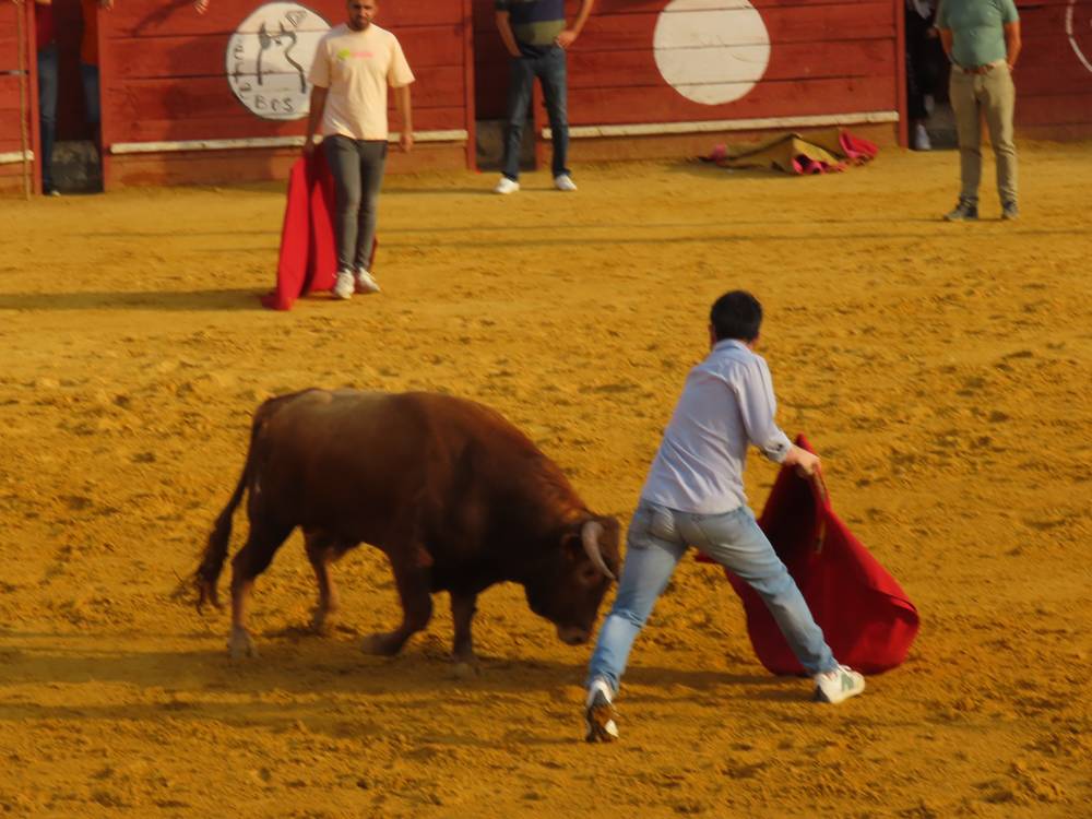 Multitudinario segundo encierro en Macotera