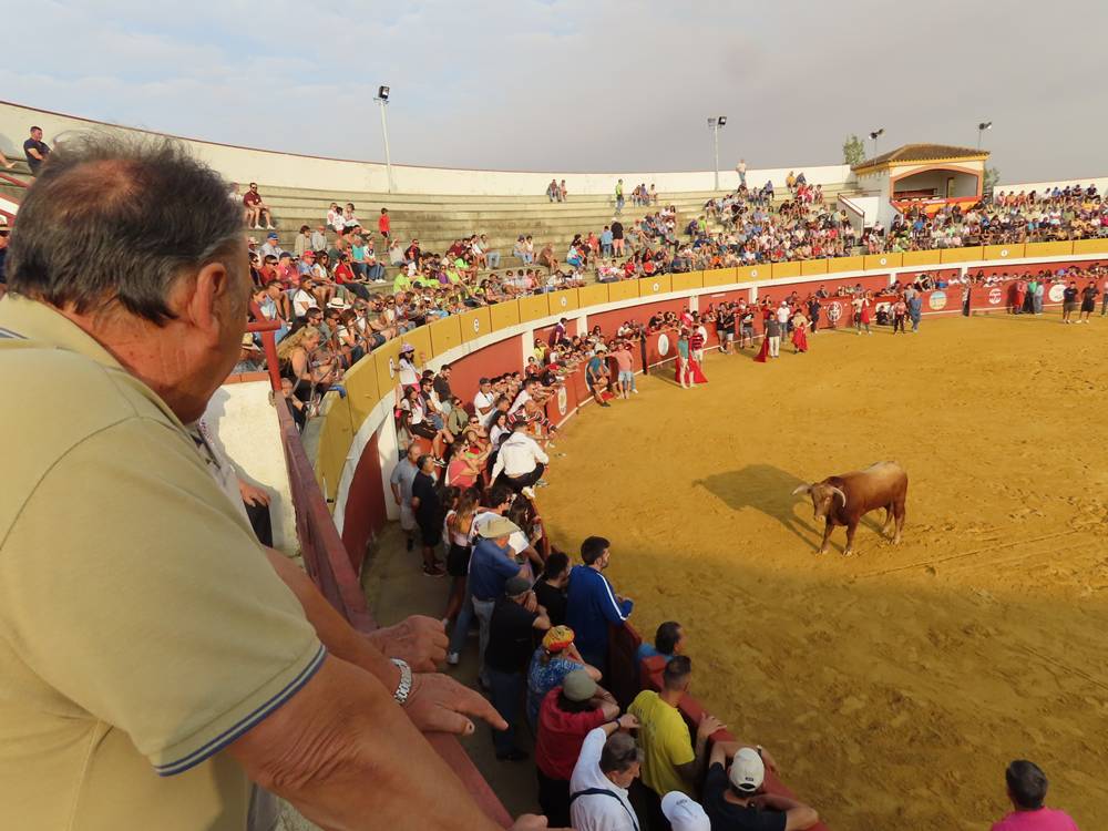 Multitudinario segundo encierro en Macotera