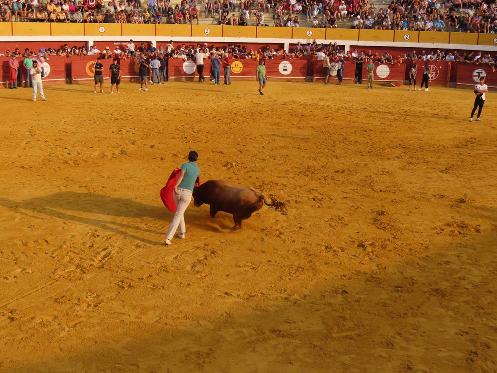 Multitudinario segundo encierro en Macotera