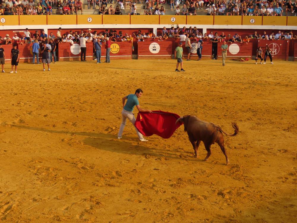 Multitudinario segundo encierro en Macotera