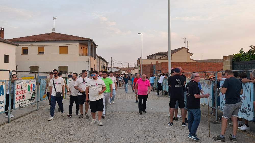 Multitudinario segundo encierro en Macotera
