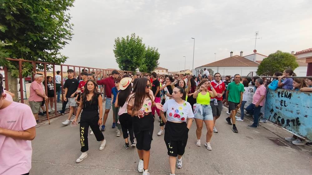 Multitudinario segundo encierro en Macotera
